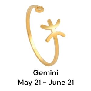 GEMINI Ring Zodiac Constellation Stainless Steel Open Front Adjustable